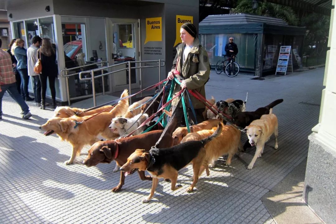 上班划水摸鱼才叫赚钱,最简单最容易赚钱的工作