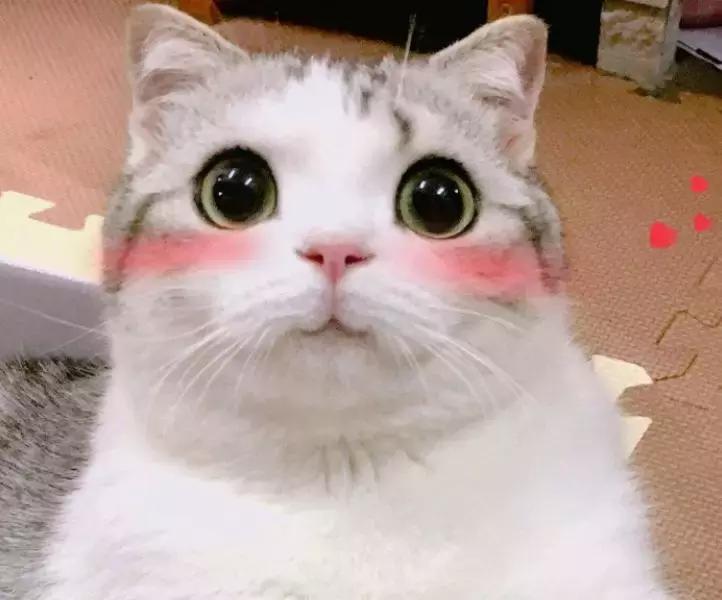 最近抖音吹爆的一款面膜,2021网红补水面膜