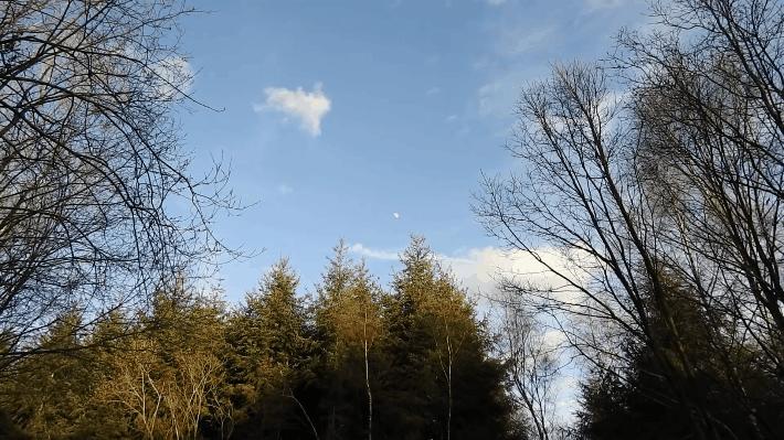 数字变焦和光学变焦倍数一样吗,光学变焦和数码变焦的相同之处