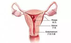 移植失败不甘心,移植失败不知道怎么面对家人