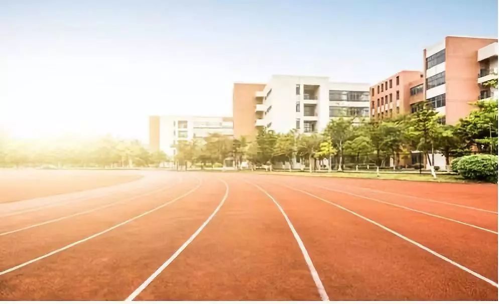 为什么提到树人小学,树人小学为什么好