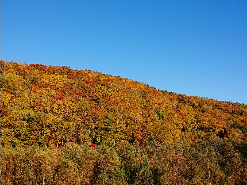 日本从南到北旅游路线,从南游到北