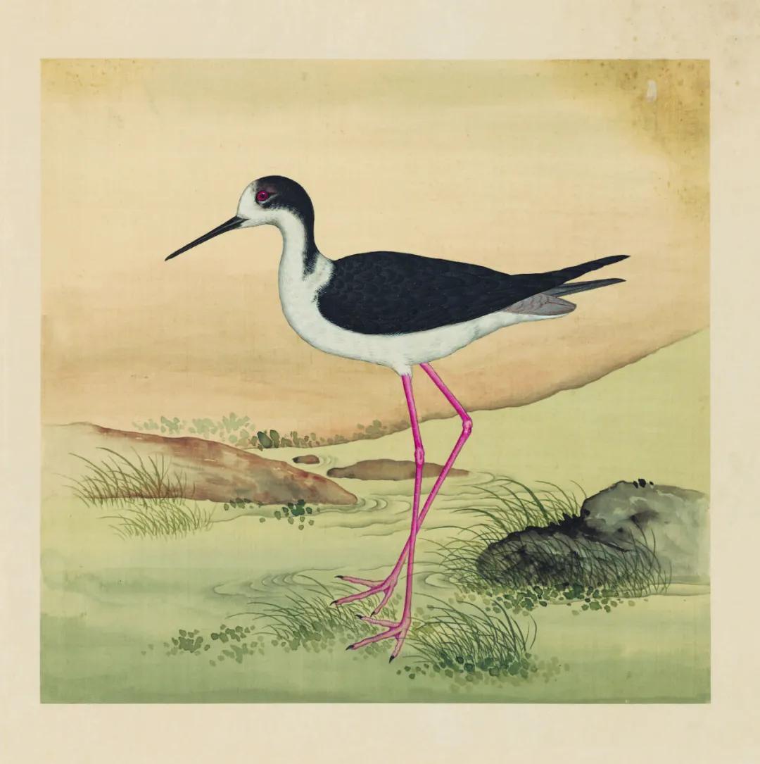 世界那么大我想去看看读书笔记,世界那么大我想去看看古诗