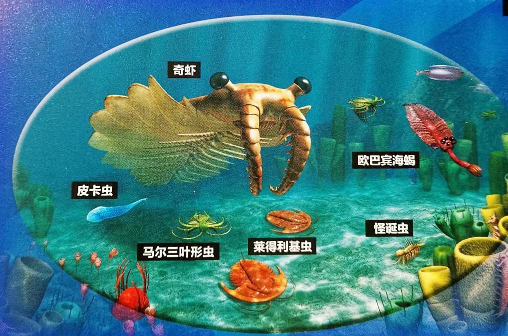 跪了！科普界天花板！恐龙迷们不要犹豫