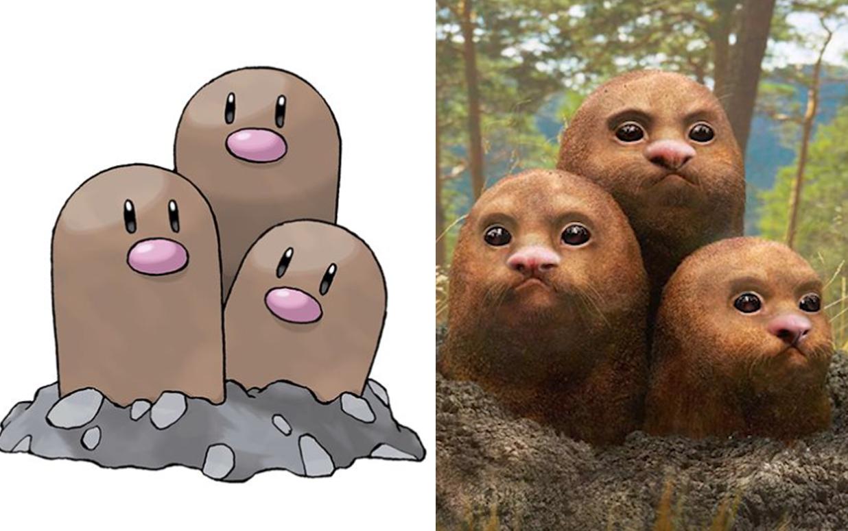 现实版神奇宝贝！一个比一个可爱，三地鼠真是逗了！