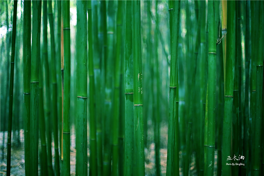 神奇的梵净山真正的天空之镜,梵净山金顶旅行真实感受