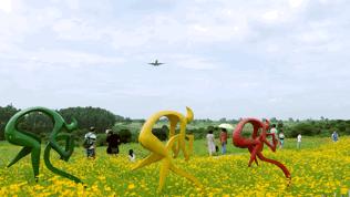 来成都打卡空港花田,成都双流空港花田打卡看飞机