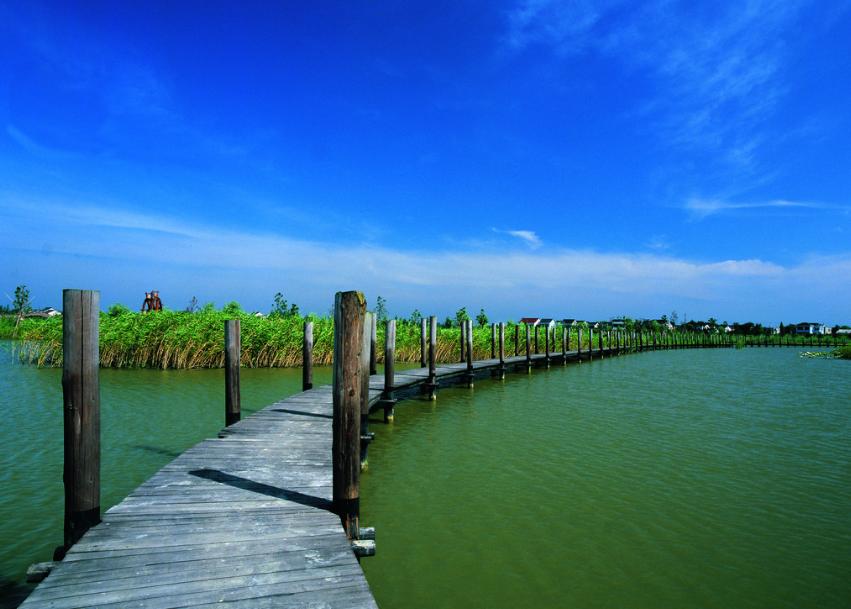 农业开始机械化发展,机械化农业未来发展趋势