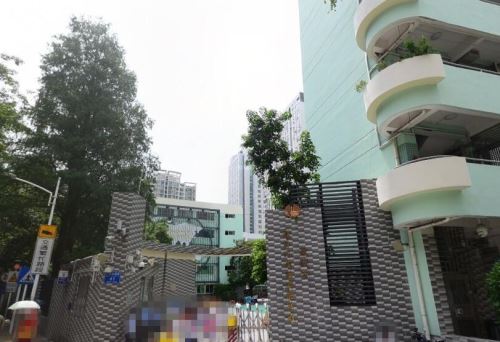 深圳罗湖区有名的小学,深圳罗湖小学学校排名