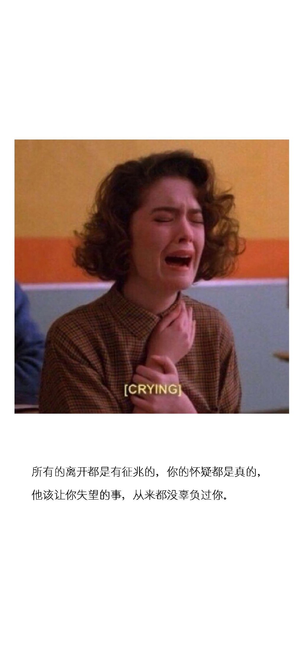 多彩壁纸535期｜文字控女生简约壁纸