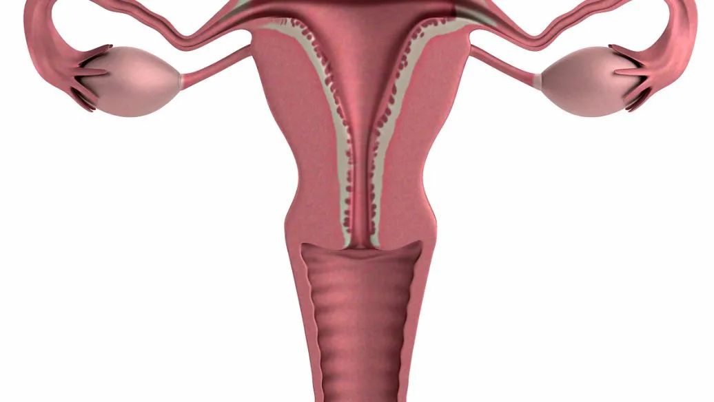 amh数值低还会自然受孕吗,amh数值越高越好吗