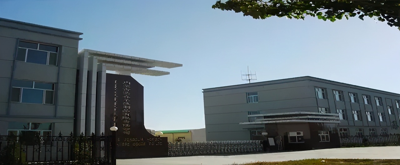 内蒙古鹿王羊绒有限公司子公司,内蒙古鹿王羊绒有限公司上海浦东