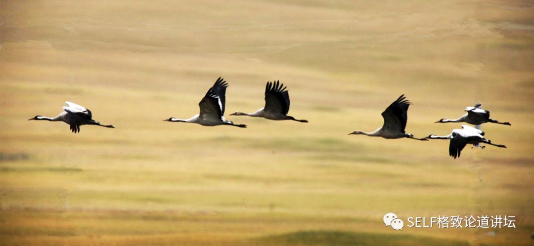 新疆天山申请世界自然遗产,天山为什么被入选为世界自然遗产