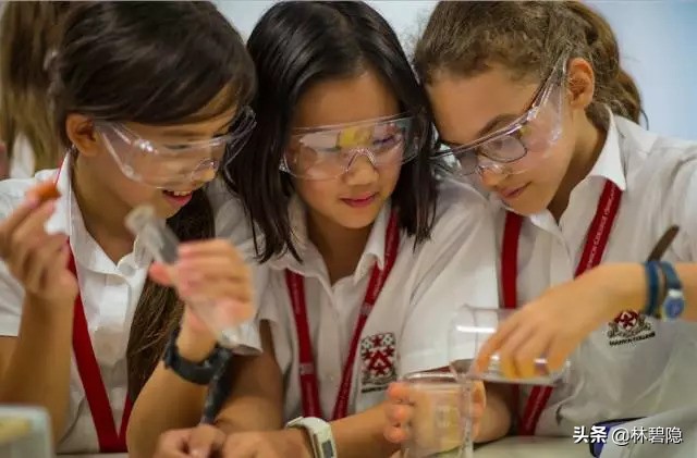 上海最贵的贵族学校,上海最贵学校排名前十