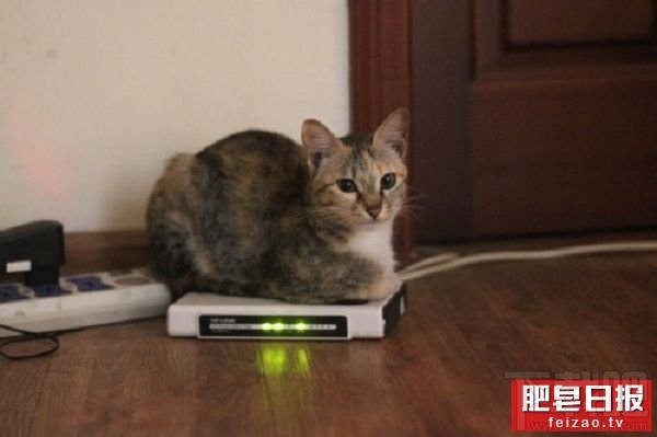 路由器设置好了网速不稳定,路由器的这个开关打开网速翻倍