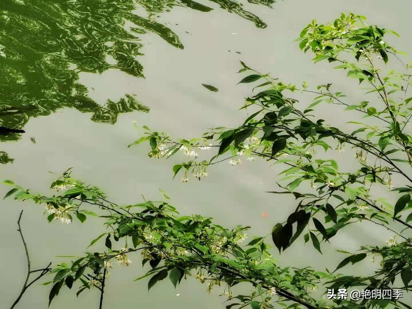 河南平顶山画眉谷——画眉声声谷愈静,流水淙淙山更幽