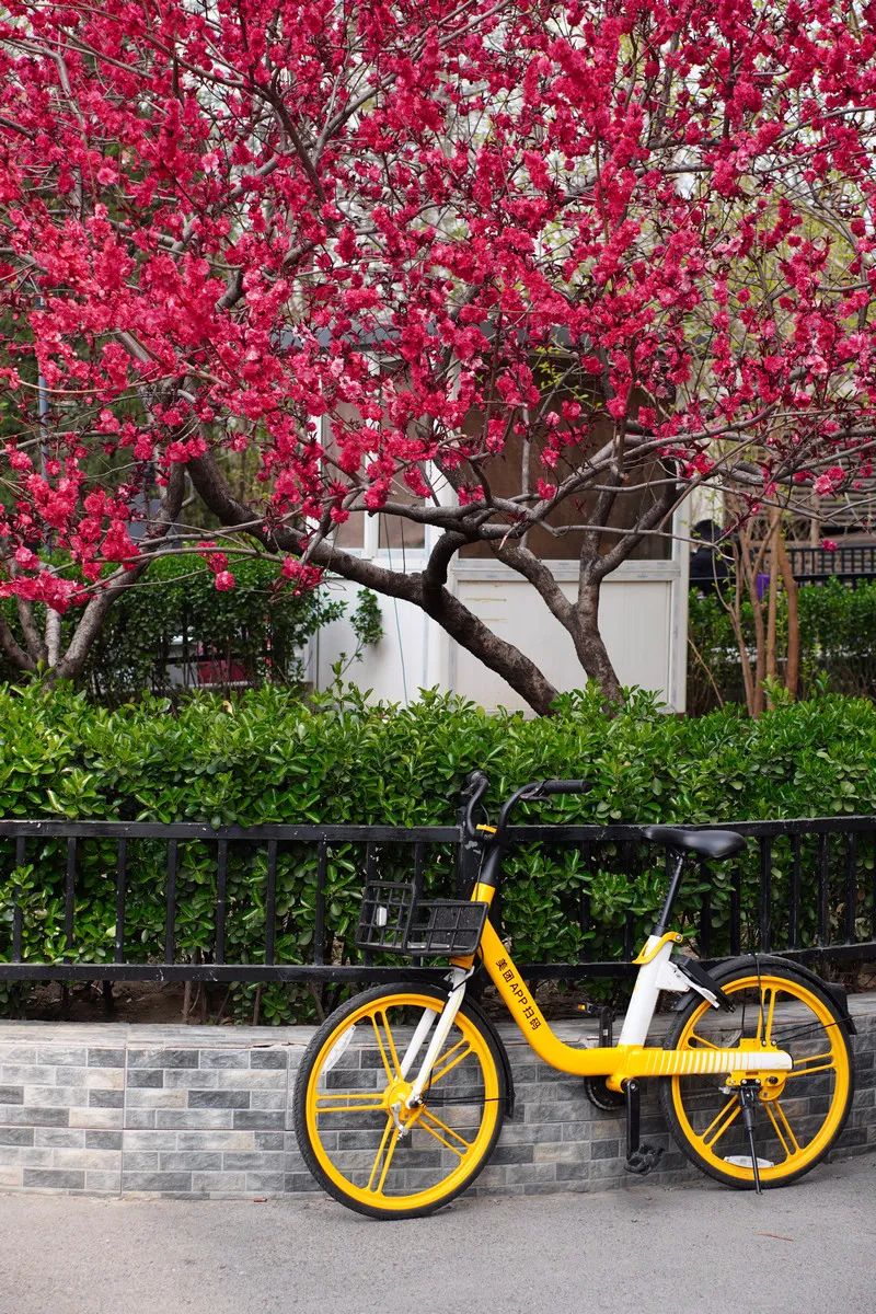 最值得入手的501.8镜头,501.2镜头值得购买吗