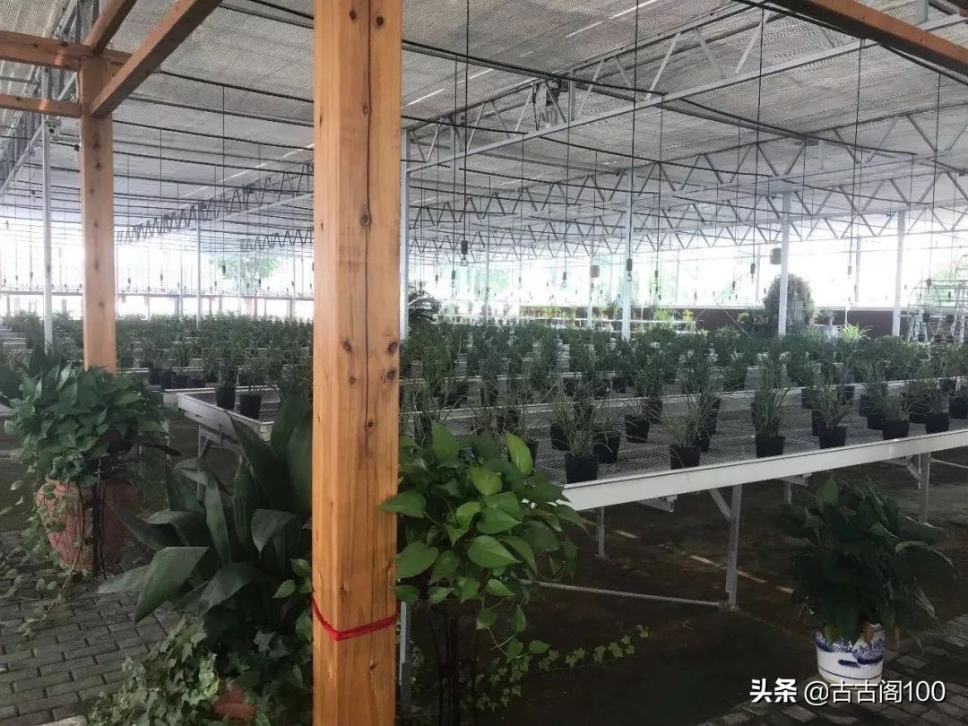 与兰亭对应的书法圣地,兰亭书法纪念馆