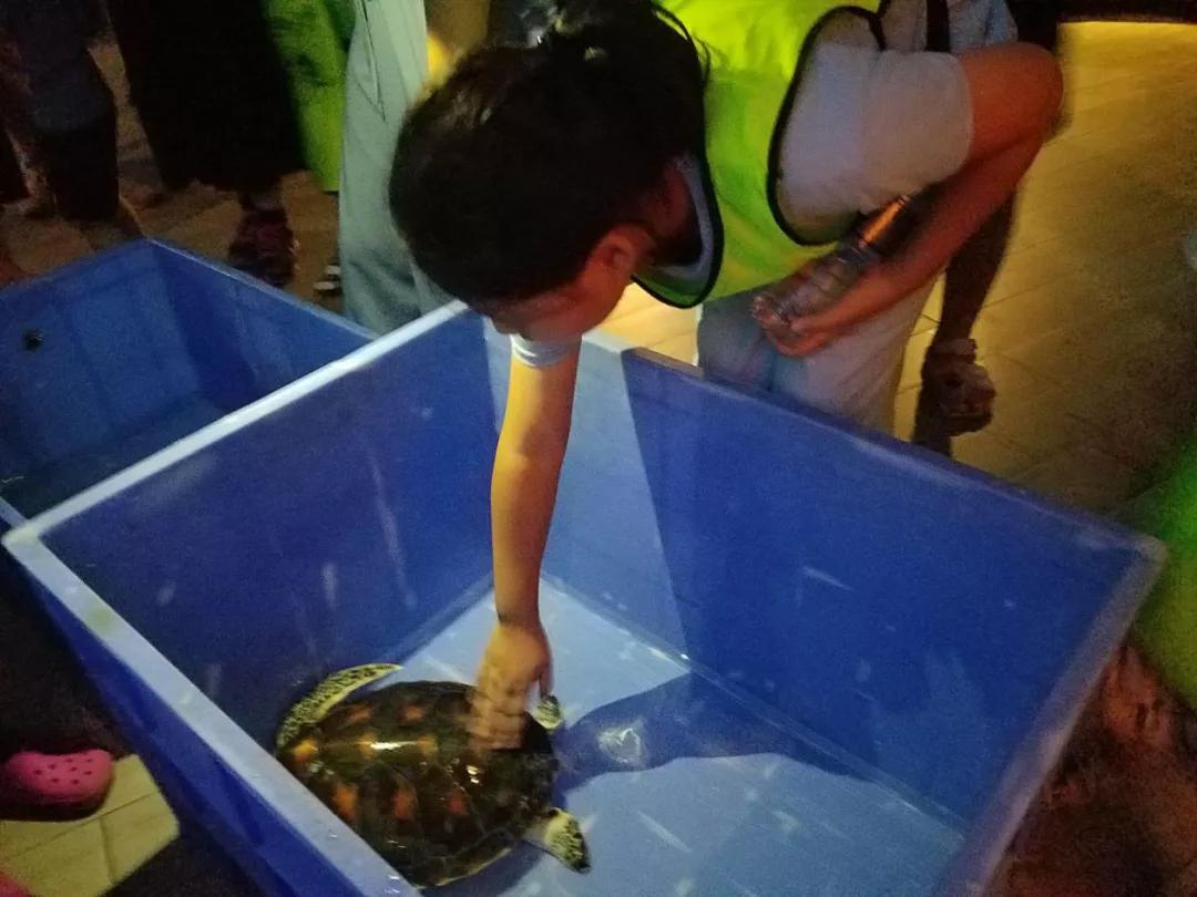 海洋馆奇妙夜,海洋馆探索海洋世界