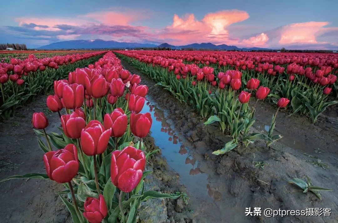 光圈的妙用你真的会调相机光圈吗,相机光圈怎么调都是最大光圈