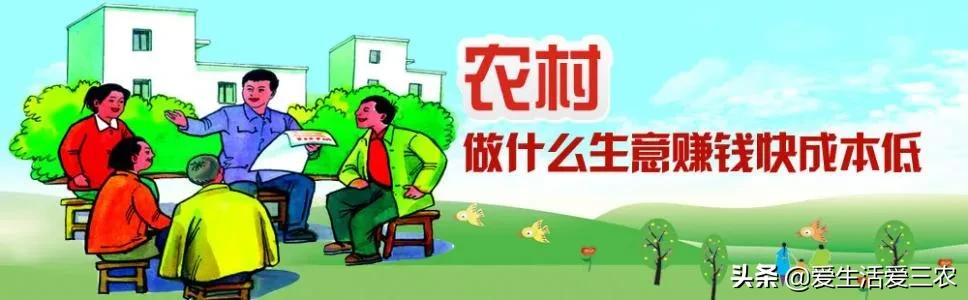 现在农村最快致富是什么行业,农民致富的手工行业