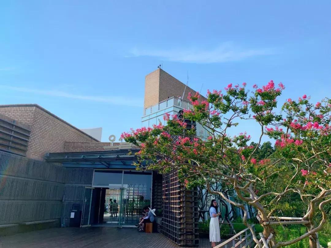 济州岛自由行详细攻略,济州岛自由行超实用攻略