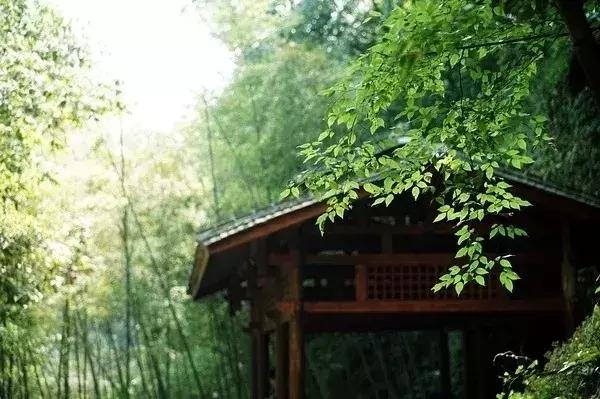 表达自由洒脱励志的古诗词,意境绝美的励志古诗词大全