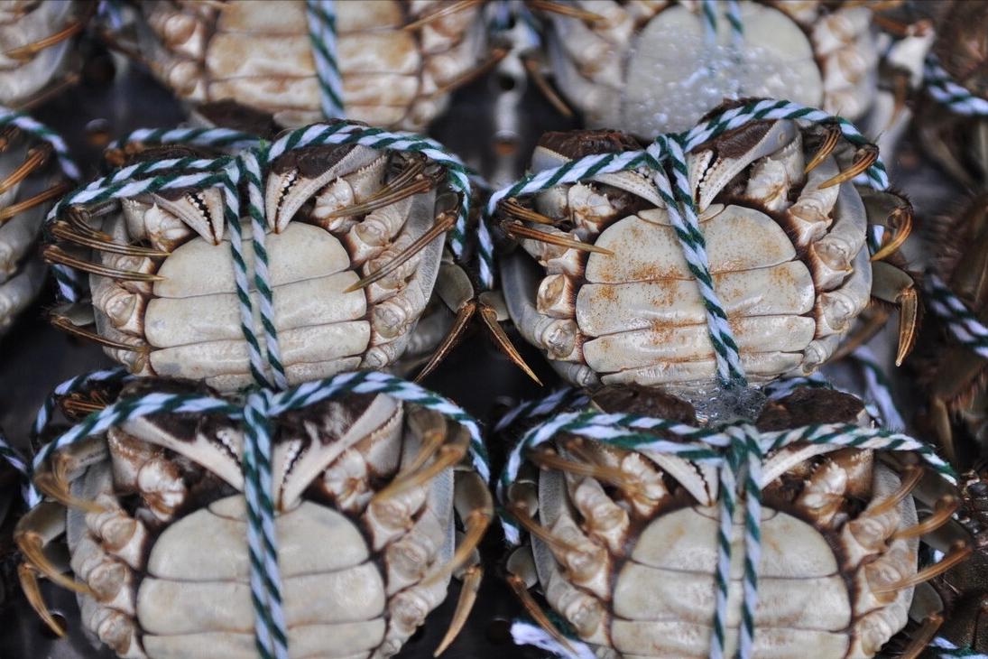 螃蟹哪个地区的最好吃,中国的螃蟹有多少种哪种最好吃