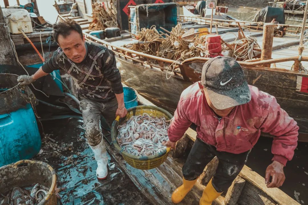 生活在海边的人皮肤特点,日照海边的魅力