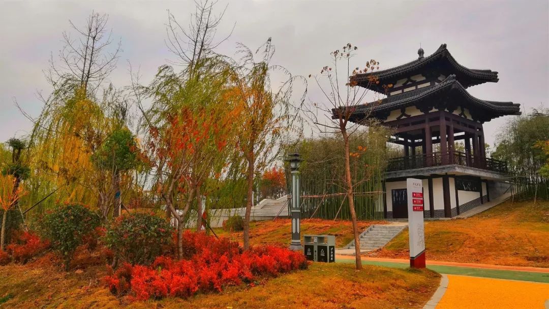 洛阳的居住环境,洛阳居住的真实感受