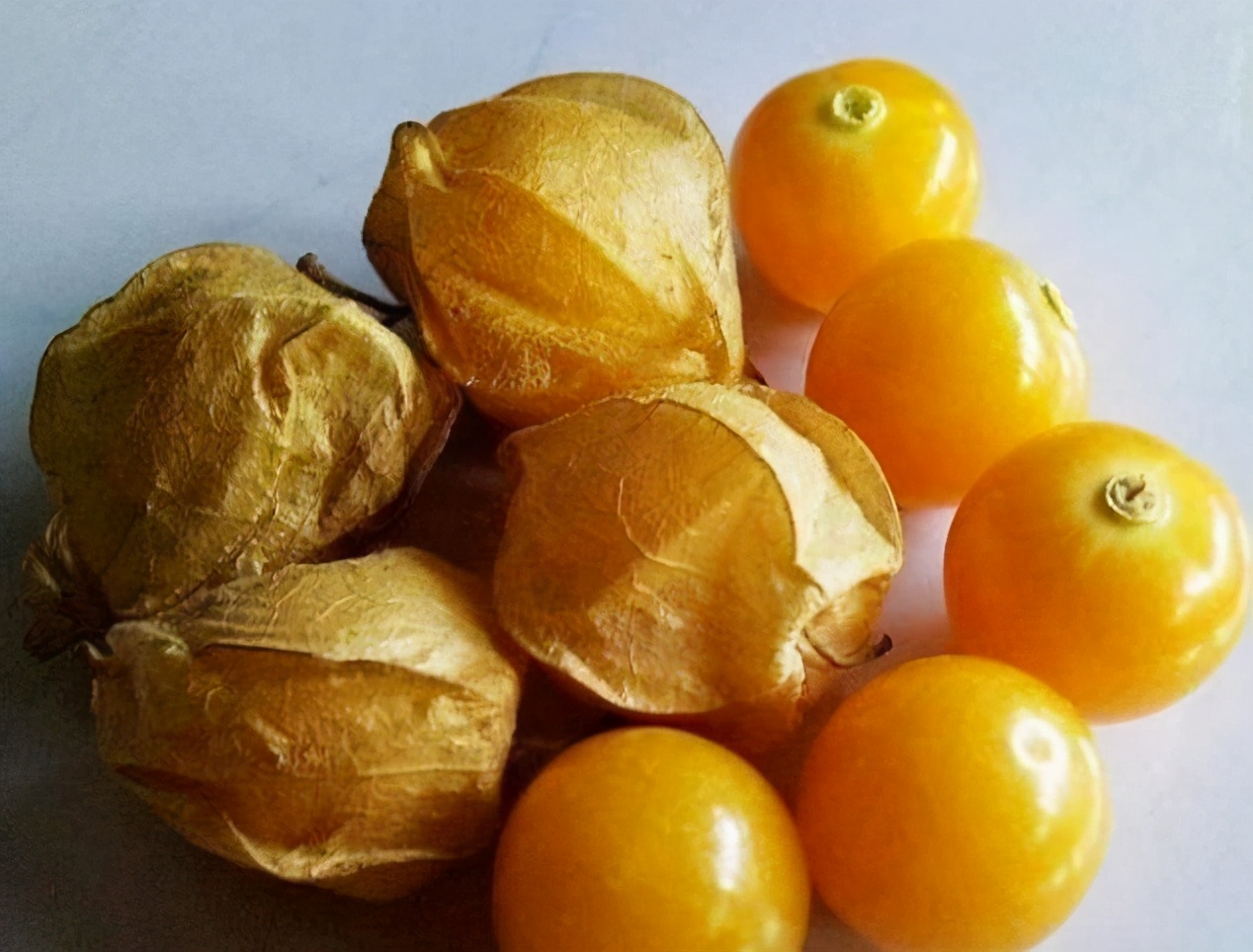 奇形怪状的猕猴桃图,12个奇异果图片