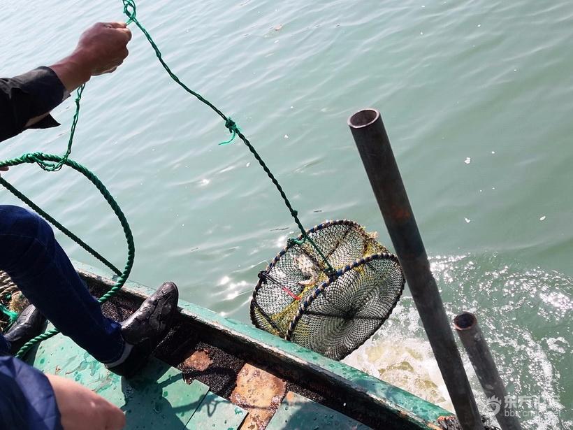 奉化海鲜自助餐有没有帝王蟹,奉化海鲜餐推荐