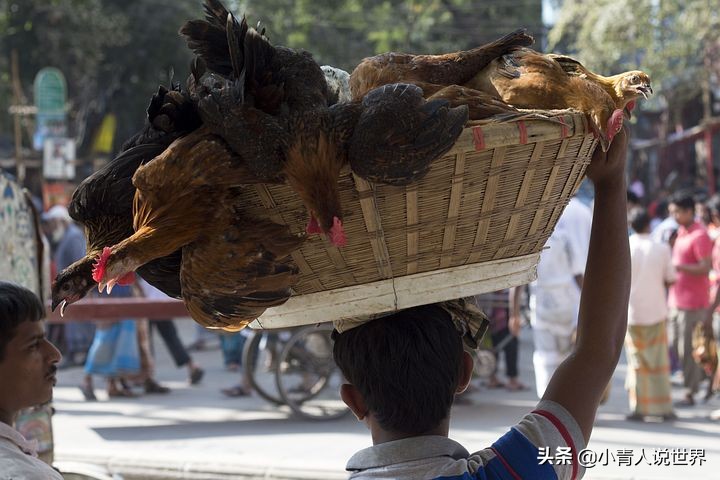 孟加拉国是农业大国么,孟加拉国的经济水平怎么样
