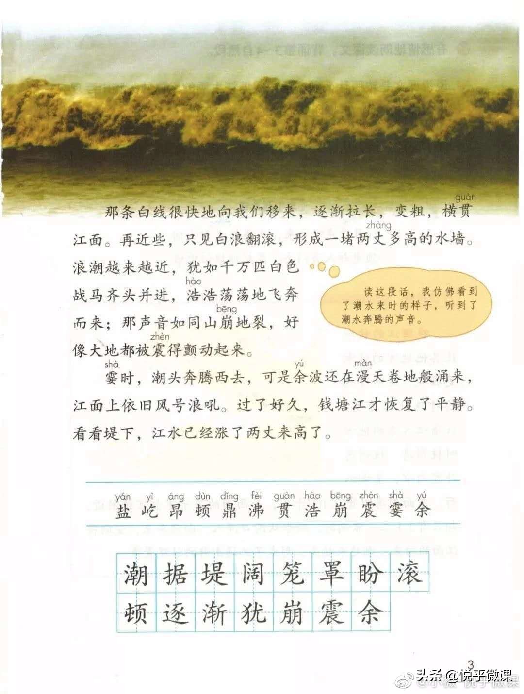 从《美丽的烟山柑子园》看写景习作的常见问题