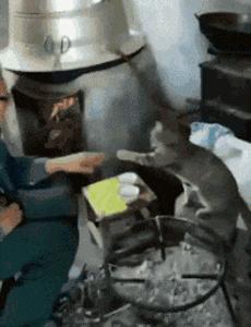 搞笑gif开心一刻原来高手在民间,搞笑gif你大爷果然还是你大爷