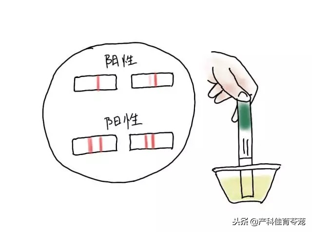 到底哪天同房,容易怀孕