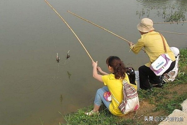 不会钓鱼只会捕鱼,只会钓鱼不会吃鱼