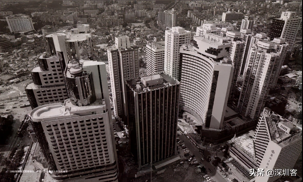 深圳的冬天是阳光明媚的冬天,深圳的冬天一点也不冷