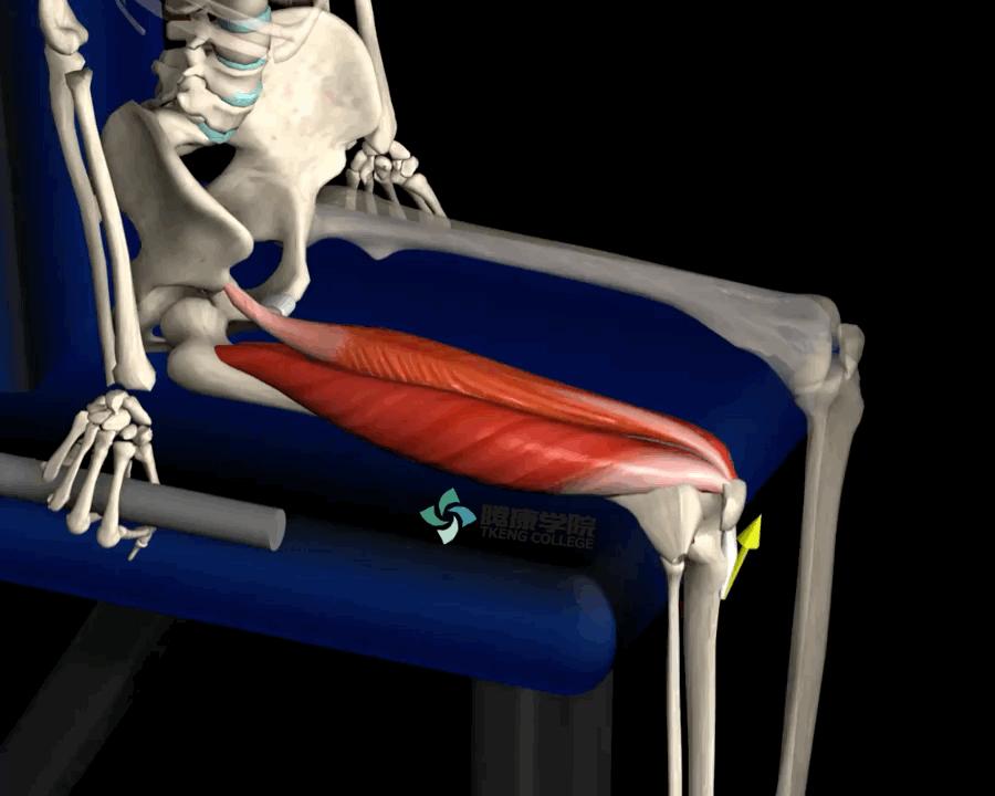 老年人蹲不下怎样锻炼,老年人蹲不下去了怎么办