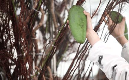 好喝的饮品店饮品推荐,深圳纯茶饮品店