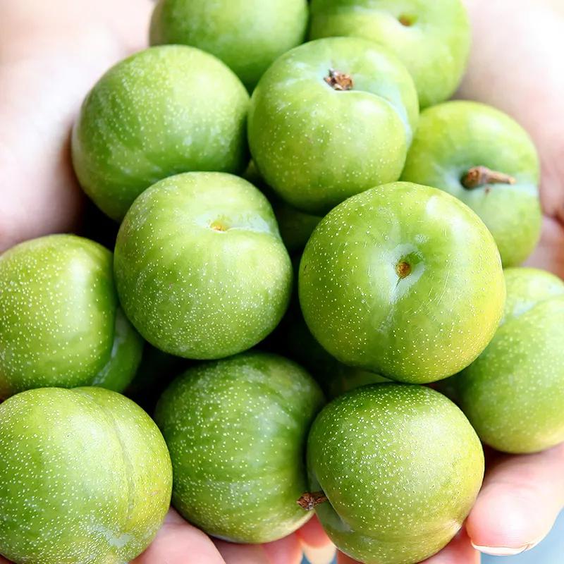 热带水果名单,热带水果王国攀枝花