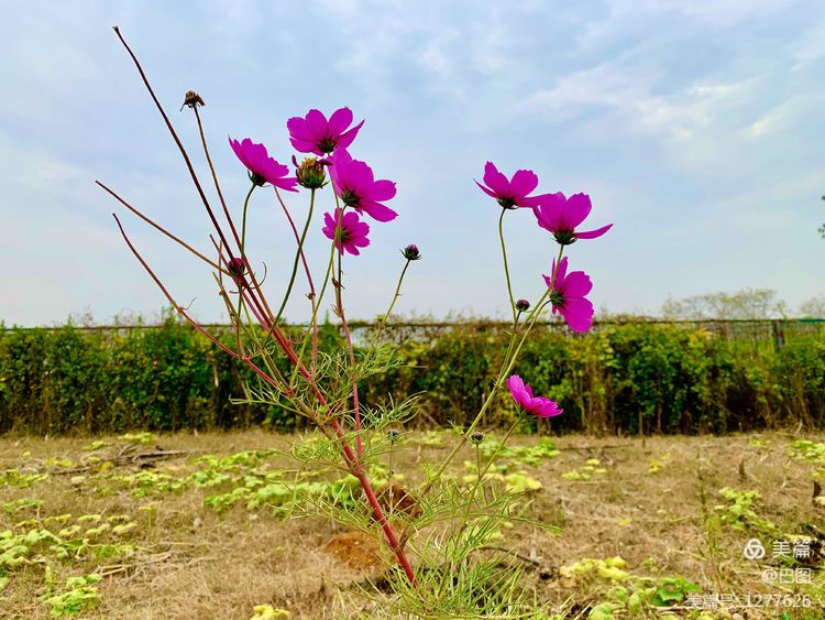 洛阳市宜阳凤凰岭射箭,宜阳县凤凰岭体育基地