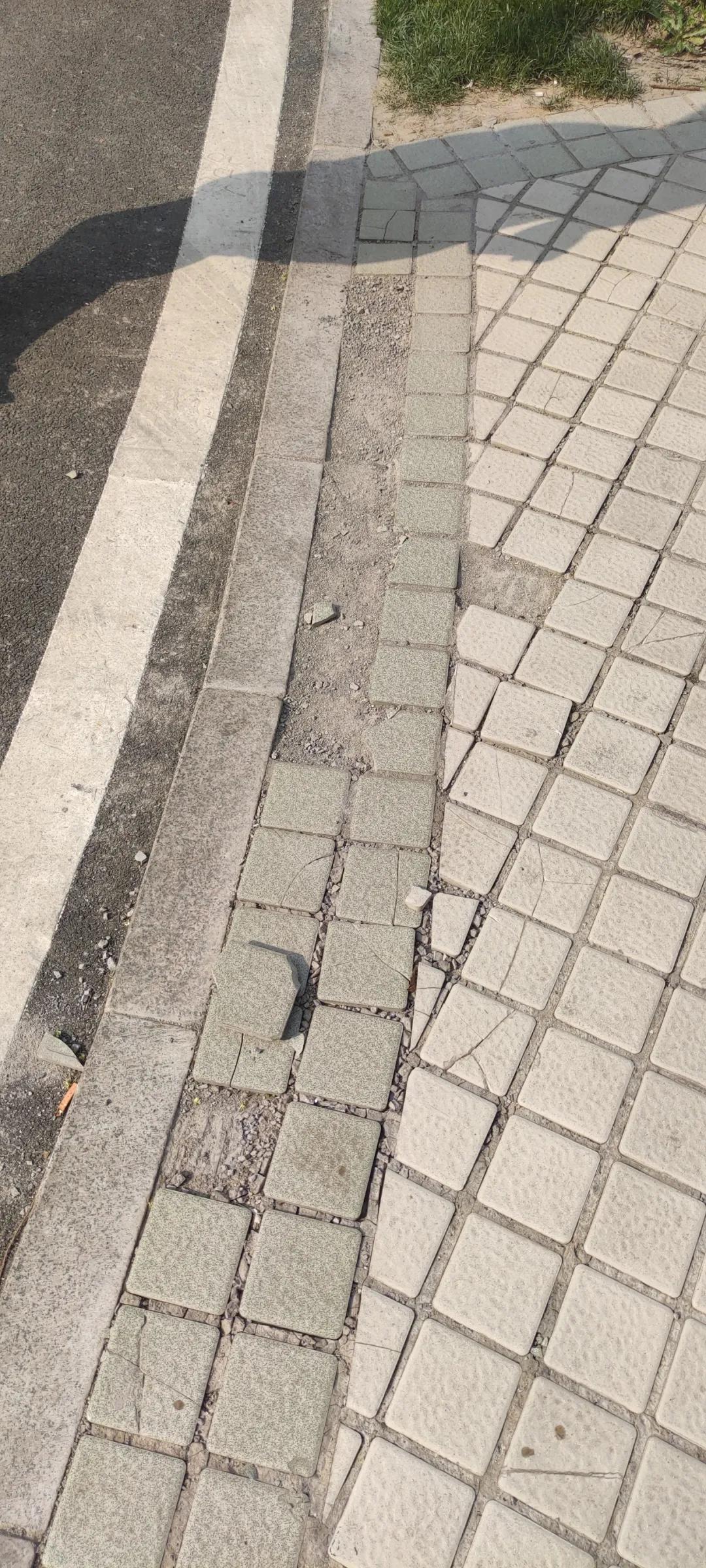 济南碧桂园凤凰城最新房价,济南碧桂园最新的情况