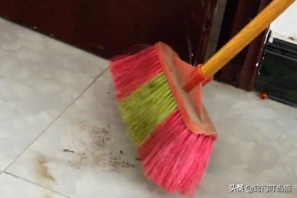 家里用扫把讲究,家里用扫把扫地扬起灰尘