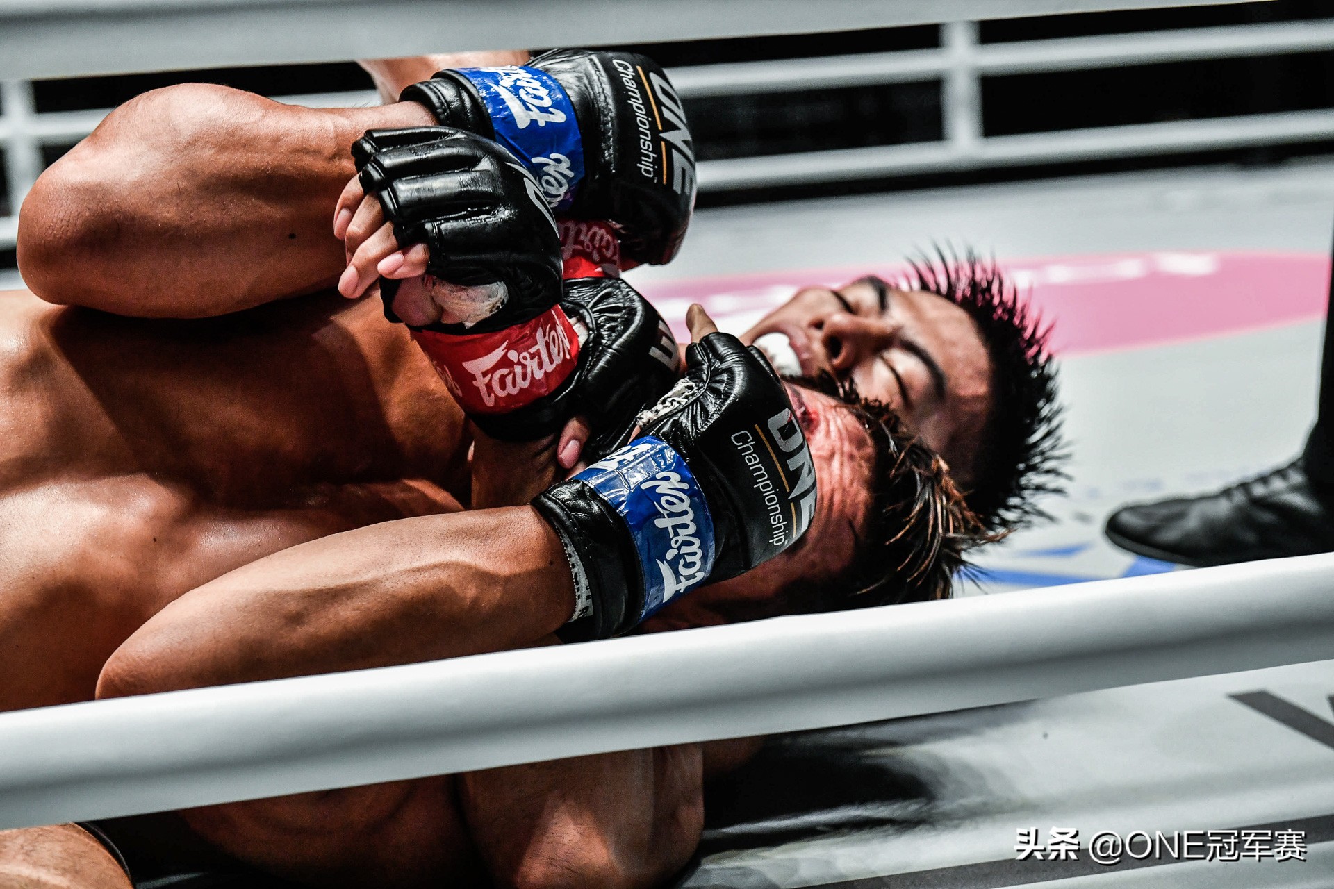 one万物新生,one冠军赛各位选手万物新生