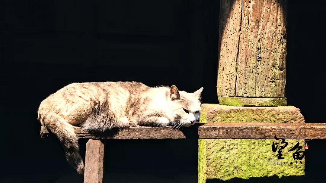 雅安旅行攻略亲子游,雅安市旅行攻略自由行路线