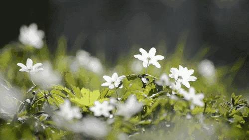 情商高的女的特点,情商高的人在工作中的特点