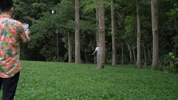 御air2性能展示,御2变焦版和air2s哪一个变焦更强