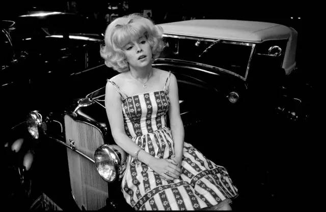 技惊四座！这些电影，有的成本仅1.5万美金，上映后票房1.9亿