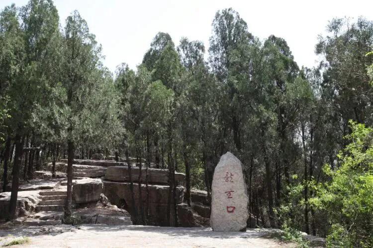 今年的十一长假出游人数会多吗,终于迎来了十一小长假